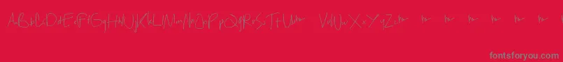jack no fruit Font – Gray Fonts on Red Background