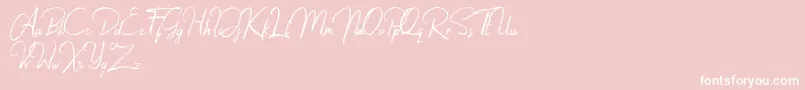 Jacklyne Font – White Fonts on Pink Background
