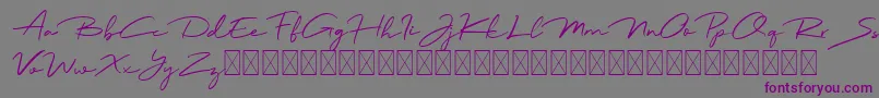 Jadyn Maria Font – Purple Fonts on Gray Background