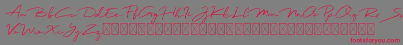 Jadyn Maria-Schriftart – Rote Schriften auf grauem Hintergrund