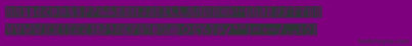 JALISCO COMPANY Font – Black Fonts on Purple Background