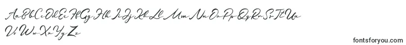 Jamilah Font – Handwritten Fonts