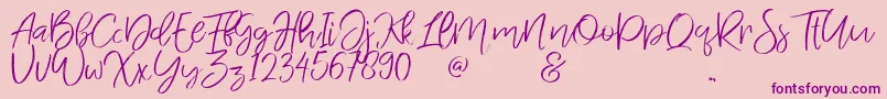 Jandys dua Font – Purple Fonts on Pink Background