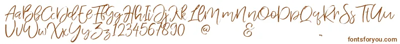 Шрифт Jandys dua – коричневые шрифты на белом фоне