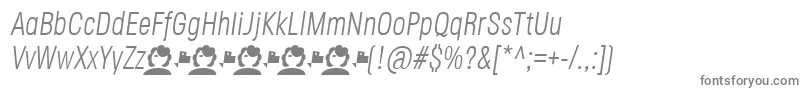 JaneRoe LightItalic Font – Gray Fonts on White Background