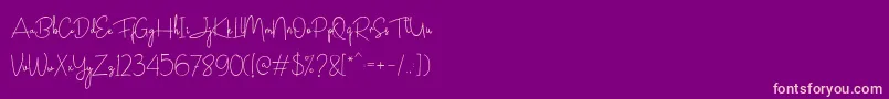 Janesville Script Font – Pink Fonts on Purple Background