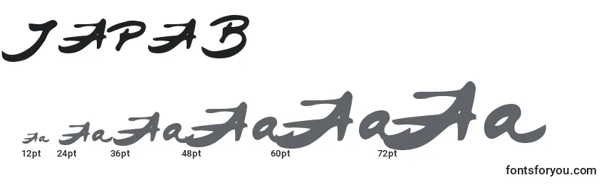 JAPAB    (130684) Font Sizes