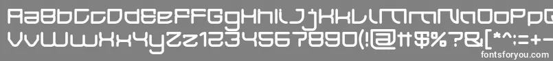 フォントJAPAN Light – 灰色の背景に白い文字