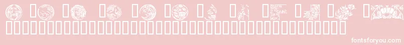 Japanese Designs Font – White Fonts on Pink Background