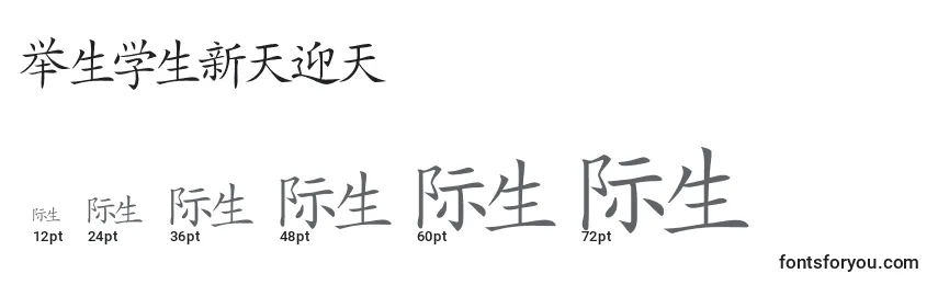 Japanese (130698) Font Sizes
