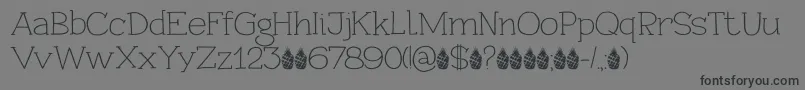 Шрифт PineappleDaydreamDemo – чёрные шрифты на сером фоне