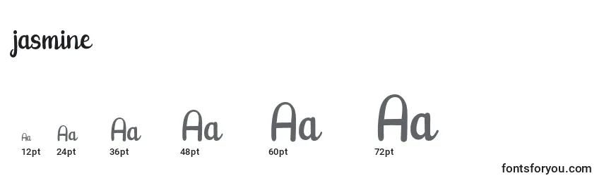 Размеры шрифта Jasmine (130701)