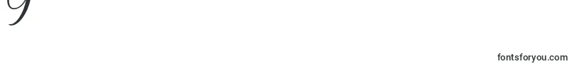 Police Jattestor Demo – polices chiffre 9