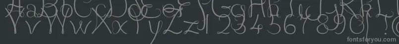 JBCourbes Regular Font – Gray Fonts on Black Background