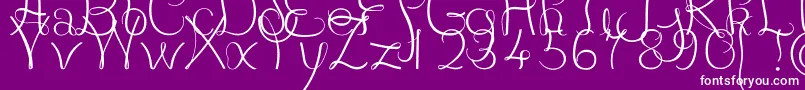 JBCourbes Regular Font – White Fonts on Purple Background