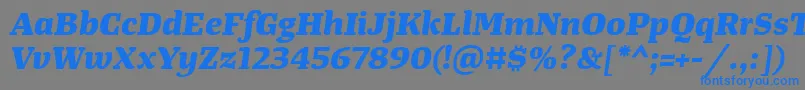 TangerserifwideExtrabolditalic Font – Blue Fonts on Gray Background