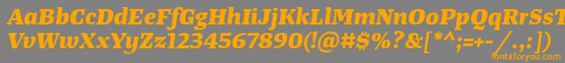 TangerserifwideExtrabolditalic Font – Orange Fonts on Gray Background