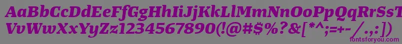 TangerserifwideExtrabolditalic Font – Purple Fonts on Gray Background