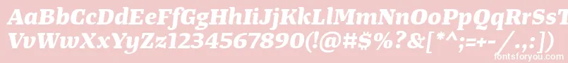 TangerserifwideExtrabolditalic Font – White Fonts on Pink Background