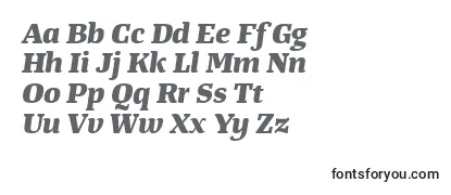 TangerserifwideExtrabolditalic Font