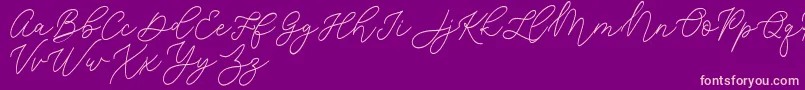 Jean Jingga   Font – Pink Fonts on Purple Background