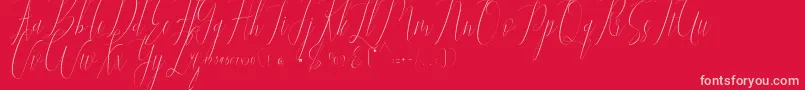Jelisa Font – Pink Fonts on Red Background
