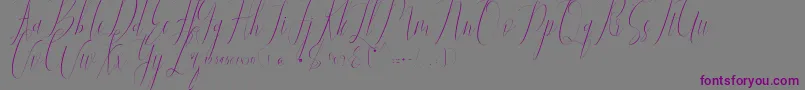 Jelisa-Schriftart – Violette Schriften auf grauem Hintergrund