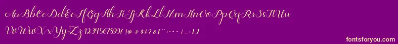 Jelita Font – Yellow Fonts on Purple Background