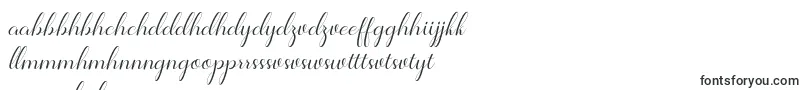 Шрифт Jelita – шона шрифты