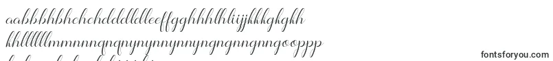 Шрифт Jelita – сесото шрифты