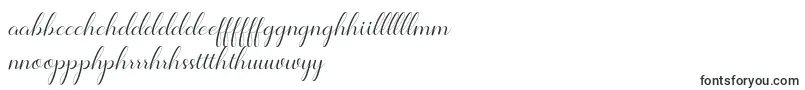 Шрифт Jelita – валлийские шрифты