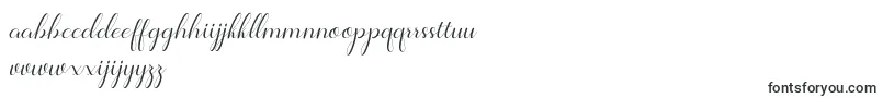 Jelita Font – Dutch Fonts