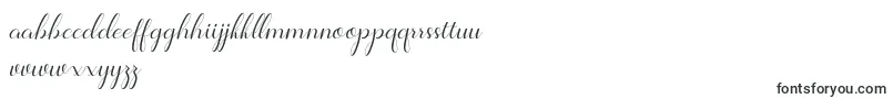 Шрифт Jelita – индонезийские шрифты