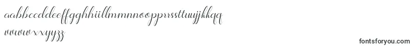 Шрифт Jelita – ирландские шрифты