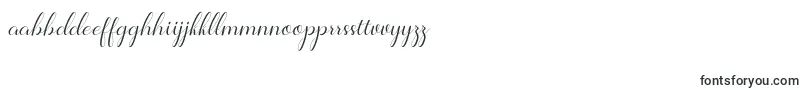 Jelita Font – Malagasy Fonts