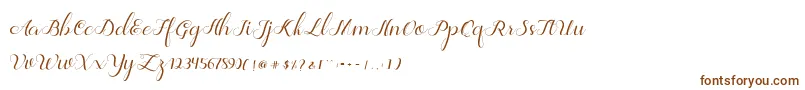 Шрифт Jelita – коричневые шрифты на белом фоне