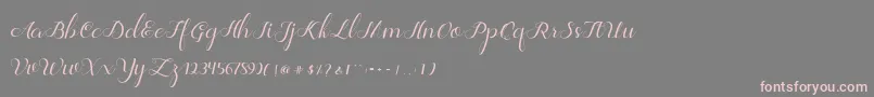 フォントJelita – 灰色の背景にピンクのフォント