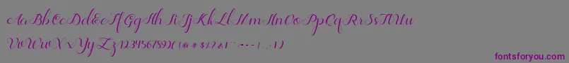 Jelita Font – Purple Fonts on Gray Background