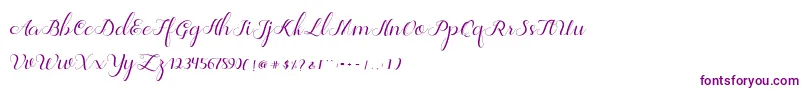 Jelita Font – Purple Fonts on White Background