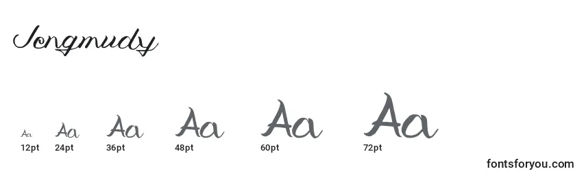 Jengmudy Font Sizes