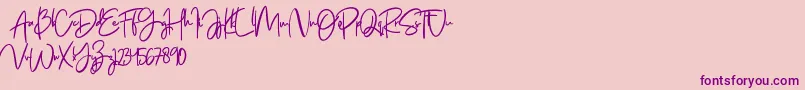 Jenifa free Font – Purple Fonts on Pink Background