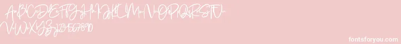 Jenifa free Font – White Fonts on Pink Background