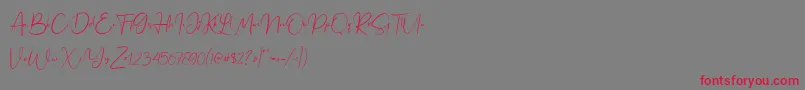 Jennifer demo Font – Red Fonts on Gray Background