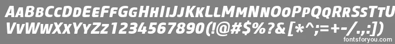 フォントCoreSansMSc75ExtraboldItalic – 灰色の背景に白い文字