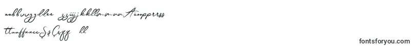 JesterBrush Font – Uzbek Fonts