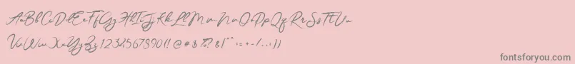 More about JesterBrush Font JesterBrush Font – Gray Fonts on Pink Background