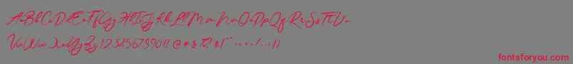 JesterBrush Font – Red Fonts on Gray Background
