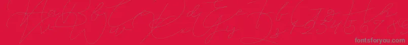 フォントJet Seat Script – 赤い背景に灰色の文字
