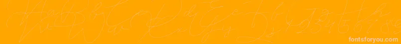 Police Jet Seat Script – polices roses sur fond orange