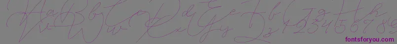 Jet Seat Script Font – Purple Fonts on Gray Background
